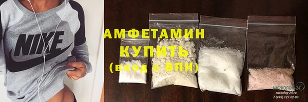 прущие грибы Балахна
