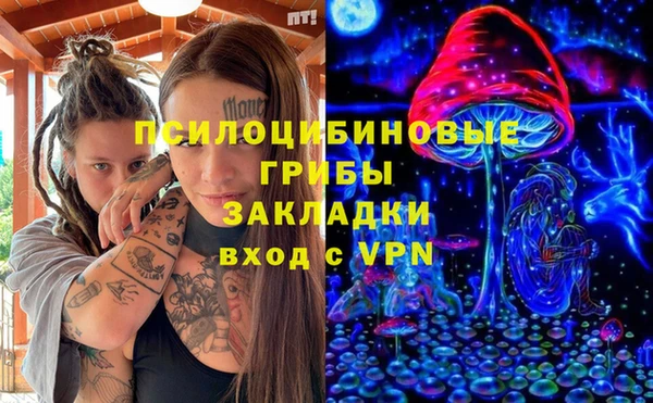 прущие грибы Балахна