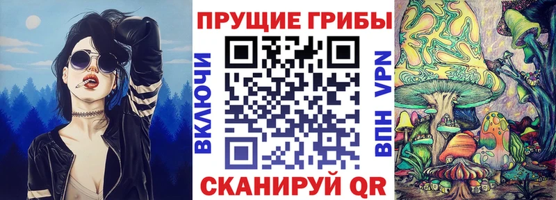 Галлюциногенные грибы Psilocybine cubensis  мориарти как зайти  Салаир 